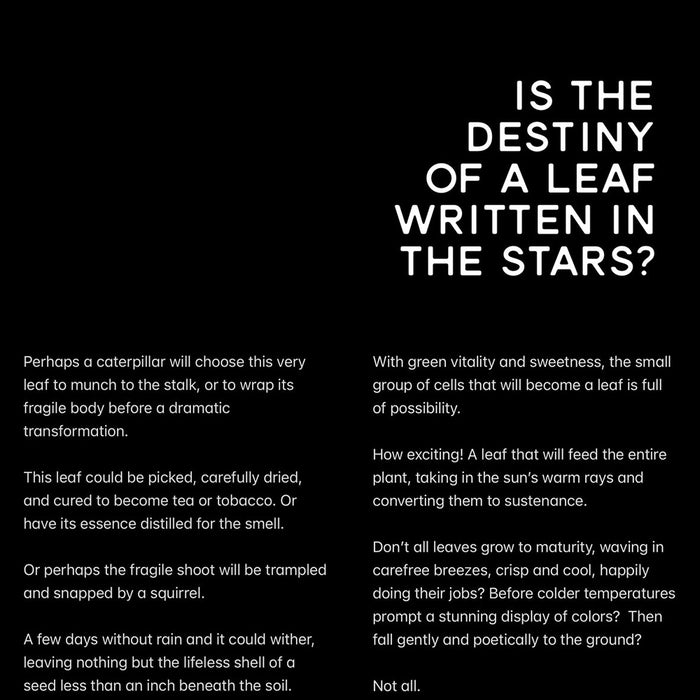 House of Mammoth Snippid Artisan Aftershave Balm, 4oz - Alcohol Free